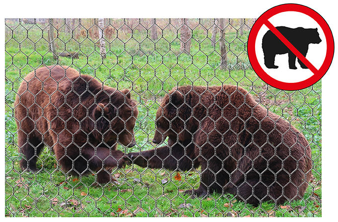 Rete antilupo anti lupo